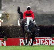 22 April 1997; Polls Gale, with Ron Flavin up, falls at the last during the Kildare Chilling Hunters Steeplechase on Day 1 of the Punchestown Festival at Punchestown Racecourse in Kildare. Photo by David Maher/Sportsfile