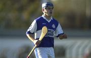 11 November 2000; Robert Delaney of Castletown during the AIB Leinster Senior Club Hurling Championship Semi-Final match between Graigue-Ballycallan and Castletown at Dr Cullen Park in Carlow. Photo by Ray McManus/Sportsfile