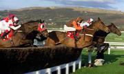 15 March 2000; Makounji, with Mick Fitzgerald up, 2, jumps ahead of Dark Stranger, with Richard Johnson up, before being pulled up during the Mildmay of Flete Challenge Cup Handicap Chase on Day Two of the Cheltenham Racing Festival at Prestbury Park in Cheltenham, England. Photo by Ray Lohan/Sportsfile