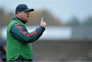 8 November 2015; Rathnew manager Declan Byrne. AIB Leinster GAA Senior Club Football Championship Quarter-Final, Rathnew v St Loman's. County Grounds, Aughrim, Co. Wicklow. Picture credit: Matt Browne / SPORTSFILE