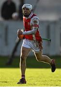 8 November 2015; Darragh O'Connell, Cuala, celebrates a goal by team-mate Mark Schutte. AIB Leinster GAA Senior Club Hurling Championship Quarter-Final, Coolderry v Cuala. O'Connor Park, Tullamore, Co. Offaly. Picture credit: Ramsey Cardy / SPORTSFILE