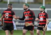 8 November 2015; Ian Kenny and Harley Barnes, left,  Ballygunner, celebrate after victory over Glen Rovers. AIB Munster GAA Senior Club Hurling Championship Semi-Final, Ballygunner v Glen Rovers. Walsh Park, Waterford. Picture credit: Diarmuid Greene / SPORTSFILE