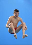 13 November 2015; Noah Williams, Dive London, during the Junior and Senior Men's 3 metre event. Irish Open Diving Championships, Day 1, National Aquatics Centre, Blanchardstown, Dublin 15. Photo by Sportsfile