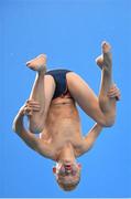 13 November 2015; Tyler Humphreys, Southend Diving, during the Junior and Senior Men's 3 metre event. Irish Open Diving Championships, Day 1, National Aquatics Centre, Blanchardstown, Dublin 15. Photo by Sportsfile
