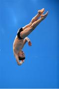 13 November 2015; Connor Van Dal, Southend Diving, during the Junior and Senior Men's 3 metre event. Irish Open Diving Championships, Day 1, National Aquatics Centre, Blanchardstown, Dublin 15. Photo by Sportsfile