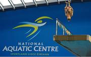 14 November 2015; Tyler Humphreys, Southend Diving, during the Junior and Senior Men's Platform event. Irish Open Diving Championships Day 2. National Aquatics Centre, Blanchardstown, Dublin. Photo by Sportsfile