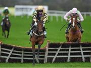 15 November 2015; Nicholas Canyon, with David Mullins up, jump the last on their way to winning the StanJames.com Morgiana Hurdle from second place Faugheen, with Ruby Walsh up. Punchestown Racecourse, Punchestown, Co. Kildare. Picture credit: Matt Browne / SPORTSFILE