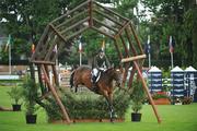 6 August 2009; Dds Springbank, with Rory O'Hare up, jumps the spider's web during the 5 Year Old Events Horse Competition Sponsored by RDK Architects. Fáilte Ireland Dublin Horse Show 2009, RDS, Ballsbridge, Dublin. Picture credit: Matt Browne / SPORTSFILE