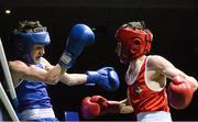 20 November 2015; Jack Mallen, left, Old School Boxing Club, trades punches with Craig Kavanagh, Crumlin Boxing Club, during the 50kg contest. IABA Elite Boxing Championships. National Stadium, Dubllin. Picture credit: David Maher / SPORTSFILE