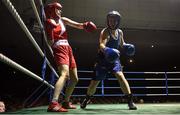 20 November 2015; Donna Barr, left, Twin Towns Boxing Club, trades punches with Alexandra Kornaga, Carrickmacross Boxing Club, during their semi final 48kg bout. IABA Elite Boxing Championships. National Stadium, Dubllin. Picture credit: David Maher / SPORTSFILE