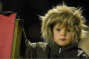 21 November 2015; Connacht supporter Darragh Morrissey, aged 3, from Knocknacarra, Co. Galway, during the game European Rugby Challenge Cup, Pool 1, Round 2, Connacht v Brive. The Sportsground, Galway. Picture credit: Diarmuid Greene / SPORTSFILE