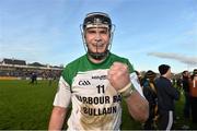 22 November 2015; Sarsfields captain Joe Cooney celebrates after the game. Galway County Senior Hurling Championship Final Replay, Craughwell v Sarsfields. Pearse Stadium, Galway. Picture credit: David Maher / SPORTSFILE