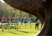 22 November 2015; A general view of the Under16 Boy's event. GloHealth National Cross Country Championships, Santry Demesne, Dublin. Picture credit: Cody Glenn / SPORTSFILE
