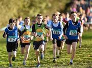 22 November 2015; Top three finishers in the Under 12 boys event, from left, third place Niall Murphy, St. Cronans A.C., second place Donnacha McNamara, Annalee A.C. and first place Diarmuid Healy, Midleton A.C. lead the pack in the Under 12 boys event. GloHealth National Cross Country Championships, Santry Demesne, Dublin. Picture credit: Cody Glenn / SPORTSFILE