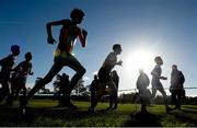 22 November 2015; A general view of the Under 16 boys event. GloHealth National Cross Country Championships, Santry Demesne, Dublin. Picture credit: Cody Glenn / SPORTSFILE