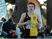 22 November 2015; Peter Lynch, Kilkenny City Harriers A.C., on his way to a second place finish in the Junior Boys event. GloHealth National Cross Country Championships, Santry Demesne, Dublin. Picture credit: Cody Glenn / SPORTSFILE