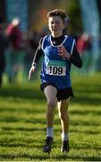 22 November 2015; Diarmuid Healy, Midleton A.C., on his way to winning the Under 12 Boy's event. GloHealth National Cross Country Championships, Santry Demesne, Dublin. Picture credit: Cody Glenn / SPORTSFILE