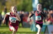 22 November 2015; Eventual second place finisher Phoebe Bate, Mullingar Harriers, left, races eventual third place finisher Hannah Breen, Crookstown Millview A.C., in the Under 12 Girl's event. GloHealth National Cross Country Championships, Santry Demesne, Dublin. Picture credit: Cody Glenn / SPORTSFILE
