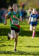 22 November 2015; Saoirse O'Brien, Westport A.C., on her way to a first place finish in the Under 14 Girl's event. GloHealth National Cross Country Championships, Santry Demesne, Dublin. Picture credit: Cody Glenn / SPORTSFILE