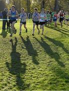 22 November 2015; A general view of the Junior Men's / Under 18 Boy's event. GloHealth National Cross Country Championships, Santry Demesne, Dublin. Picture credit: Cody Glenn / SPORTSFILE