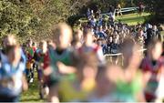 22 November 2015; A general view of the Under 12 Boy's event. GloHealth National Cross Country Championships, Santry Demesne, Dublin. Picture credit: Cody Glenn / SPORTSFILE