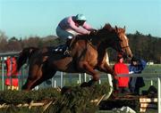 28 December 1999; Saxophone, with Tom Treacy up, jumps the last to win The William Neville and Sons Novice Steeplechase at Leopardstown Racecourse in Dublin. Photo by Matt Browne/Sportsfile