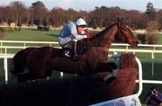28 December 1999; Buck Rogers, with Kenneth Whelan up, jumps the last during The Eircsson Steeplechase at Leopardstown Racecourse in Dublin. Photo by Matt Browne/Sportsfile