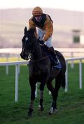 14 January 2001; Bamford Castle, with NP Madden up, canters to star at Leopardstown Racecourse in Dublin. Photo by Brendan Moran/Sportsfile