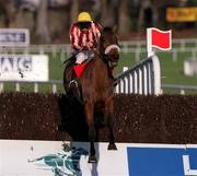 21 January 2001; Well Ridden, with Conor O'Dwyer up, jumps the last to go on and win The Bailey's Arkle Perpetual Challenge Cup Novice Steeplechase at Leopardstown Racecourse in Dublin. Photo by Ray McManus/Sportsfile