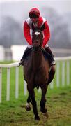 21 January 2001; Have Merci, with Paul Moloney up, canters to the start at Leopardstown Racecourse in Dublin. Photo by Ray McManus/Sportsfile