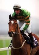21 January 2001; Istabraq, with Charlie Swan up, canters to the start at Leopardstown Racecourse in Dublin. Photo by Ray McManus/Sportsfile