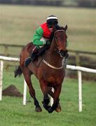 27 January 2001; Limestone Lad, with Shane McGovern up, on their way to win The Bank Of Ireland Hurdle at Fairyhouse Racecourse in Ratoath, Meath. Photo by Damien Eagers/Sportsfile