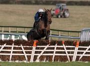 27 January 2001; Takagi, with Barry Geraghty up, clears the last to win The I.N.H Stallion Owners European Breeders Fund Maiden Hurdle at Fairyhouse Racecourse in Ratoath, Meath. Photo by Damien Eagers/Sportsfile