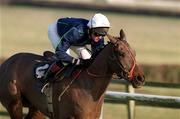 27 January 2001; Takagi, with Barry Geraghty, up on their way to winning The I.N.H Stallion Owners European Breeders Fund Maiden Hurdle at Fairyhouse Racecourse in Ratoath, Meath. Photo by Damien Eagers/Sportsfile