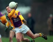 28 January 2001; Enda Newport of Wexford during the O'Byrne Cup Semi-Final match between Wexford and Offaly at the Gaelic Grounds in Bunclody, Wexford. Photo by Aoife Rice/Sportsfile
