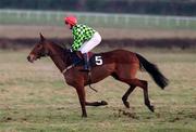 27 January 2001; Wicked Crack, with Joseph Casey up, canters to the start at Fairyhouse Racecourse in Ratoath, Meath. Photo by Damien Eagers/Sportsfile