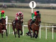 27 January 2001; Limestone Lad, with Shane McGovern up, leads the field first time around during The Bank Of Ireland Hurdle at Fairyhouse Racecourse in Ratoath, Meath. Photo by Damien Eagers/Sportsfile