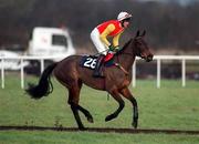 27 January 2001; Leapogues Lady, with Shane McGovern up, canters to the start at Fairyhouse Racecourse in Ratoath, Meath. Photo by Damien Eagers/Sportsfile