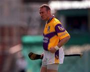 18 June 2000; Larry Murphy of Wexford during the Guinness Leinster Senior Hurling Championship semi-final match between Offaly and Wexford at Croke Park in Dublin. Photo by Ray McManus/Sportsfile