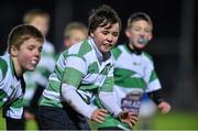 27 November 2015; Action from Bank of Ireland Half-Time Mini Games between St. Mary's and Naas RFC at the Leinster v Ulster - Guinness PRO12, Round 8 clash at the RDS Arena, Ballsbridge, Dublin. Picture credit: Ramsey Cardy / SPORTSFILE
