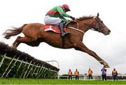 29 November 2015; Rashaan, with Mikey Fogarty up, jumps the last on their way to winning The Bar One Racing Juvenile Hurdle Grade 3. Horse Racing at the Fairyhouse Winter Festival. Fairyhouse, Co. Meath. Picture credit: Cody Glenn / SPORTSFILE