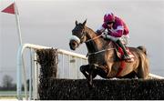 29 November 2015; No More Heroes, with Bryan Cooper up, clear the last on their way to winning The Bar One Racing Drinmore Novice Steeplechase Grade 1. Horse Racing at the Fairyhouse Winter Festival. Fairyhouse, Co. Meath. Picture credit: Cody Glenn / SPORTSFILE