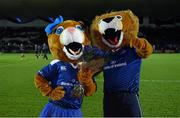27 November 2015; Leo The Lion and Leona The Lioness celebrate their second year anniversary. Guinness PRO12, Round 8, Leinster v Ulster. RDS Arena, Ballsbridge, Dublin. Picture credit: Stephen McCarthy / SPORTSFILE