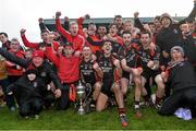 29 November 2015; Oulart the Ballagh players and staff celebrate at the end of the game. AIB Leinster GAA Senior Club Hurling Championship Final, Oulart the Ballagh v Cuala. Netwatch Dr. Cullen Park, Carlow. Picture credit: David Maher / SPORTSFILE