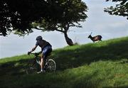 25 August 2009; A cyclist passes a deer during a cycle led by Lance Armstrong in the Phoenix Park, Dublin. Picture credit: Brian Lawless  / SPORTSFILE