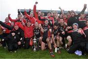 29 November 2015; Oulart the Ballagh players and staff celebrate at the end of the game. AIB Leinster GAA Senior Club Hurling Championship Final, Oulart the Ballagh v Cuala. Netwatch Dr. Cullen Park, Carlow. Picture credit: David Maher / SPORTSFILE