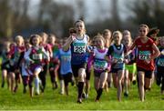 6 December 2015; Sophie Quinn, 293, Ratoath AC, Co. Meath, on her way to winning the Girls under-11 Cross Country event. GloHealth Novice & Uneven Age Cross Country Championships. St.Augustine's College, Dungarvan, Co.Waterford. Picture credit: Matt Browne / SPORTSFILE
