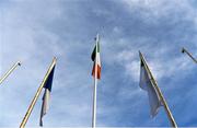 6 December 2015; A general view of the flags at O'Connor Park, Tullamore, ahead of the game. AIB Leinster GAA Senior Club Football Championship Final, Portlaoise v Ballyboden St Enda's. O'Connor Park, Tullamore, Co. Offaly. Picture credit: Stephen McCarthy / SPORTSFILE