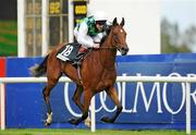 5 September 2009; You'll Be Mine, with Johnny Murtagh up, crosses the finish line to win the Irish Independent European Breeders Fund Fillies Maiden. Leopardstown Racecourse, Dublin. Picture credit: Pat Murphy / SPORTSFILE