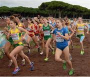 13 December 2015; Ireland's Aoibhe Richardson, centre, competes in the Junior Women's event. SPAR European Cross Country Championships Hyeres 2015. Paray Le Monial, France Picture credit: Cody Glenn / SPORTSFILE